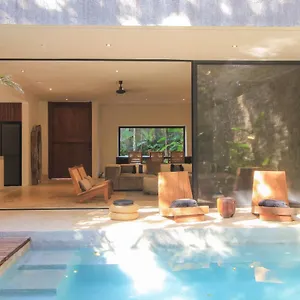 https://elegant-boho-style-villa-fabulous-private-rooftop-deck.allrivieramayahotels.com