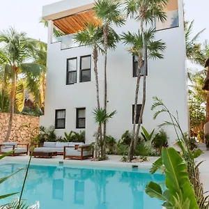 https://palapa-beach-villa.allrivieramayahotels.com